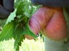 cbt-and-nettle-play